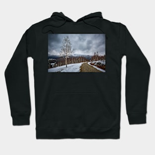 Road in the mountains Hoodie